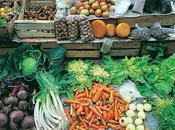 Alimentación Km.0