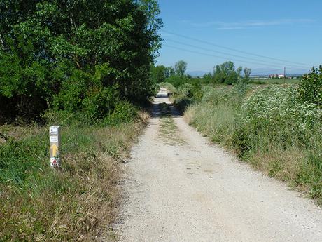 De San Martín a Hospital de Órbigo. Camino de Santiago.