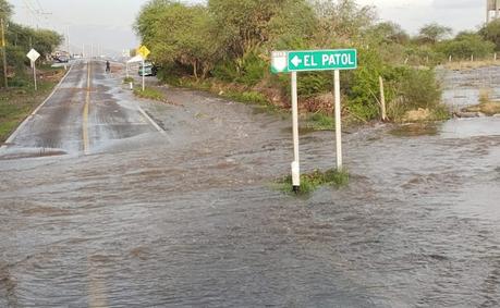 (Video) Se registra nueva fuga en el sistema de El Realito