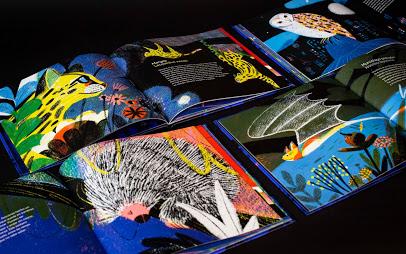 Ilustrando a... Cynthia Alonso