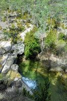 Impactante salto de agua imagen del torrente de la Cabana y el pinar en  Campdevànol. Ripoll