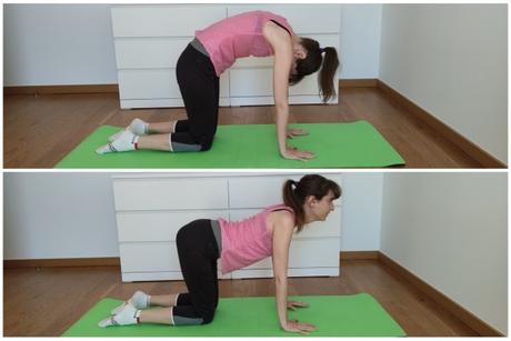 Rutina de ejercicios de espalda para hacer en casa. Rutina de ejercicios de espalda para hacer en casa.