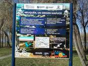 Instalan cartelería señalética idioma Mapuche Paseo Costa