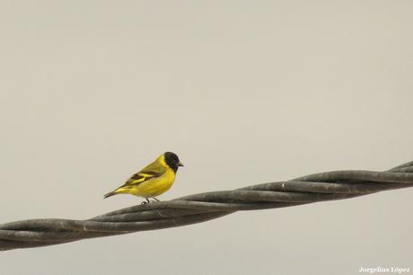 Balneario San Cayetano