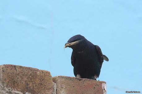 Balneario San Cayetano