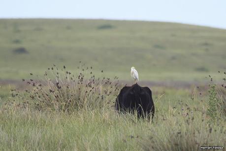 Balneario San Cayetano