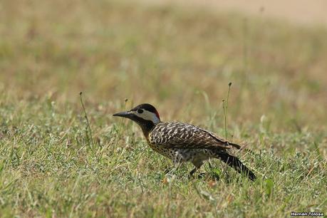 Balneario San Cayetano