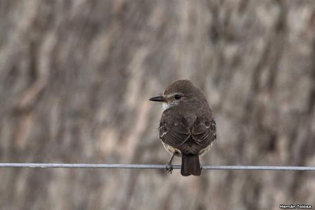 Balneario San Cayetano