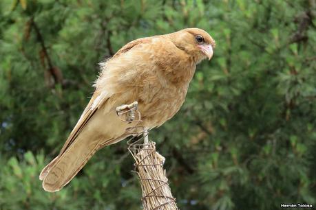 Balneario San Cayetano