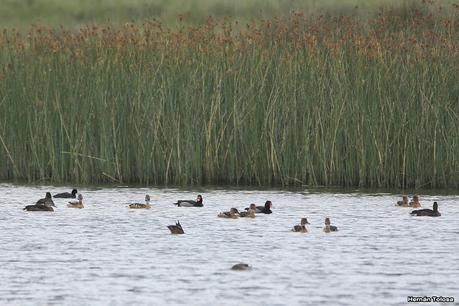 Balneario San Cayetano