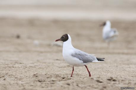 Balneario San Cayetano