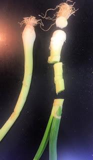 QUICHE DE ALCACHOFAS, ESPARRAGOS Y AJITOS TIERNOS QUICHE DE ALCACHOFAS, ESPARRAGOS Y AJITOS TIERNOS