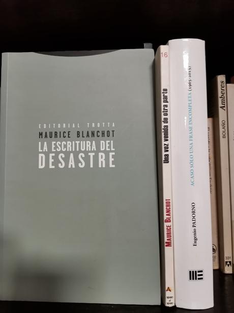 LA ESCRITURA DEL DESASTRE