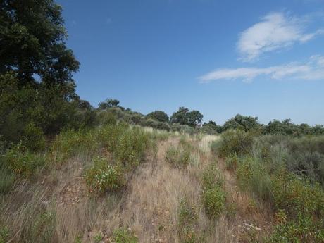 Ruta al Castillo de Marmionda