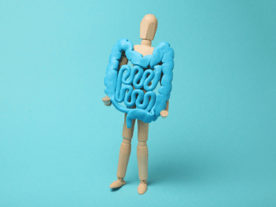 Adelgazar: las bacterias que permiten disminuir la absorción de grasas y favorecer la pérdida de peso 4