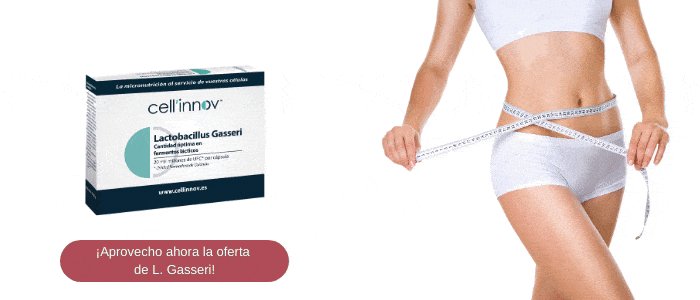 Adelgazar: las bacterias que permiten disminuir la absorción de grasas y favorecer la pérdida de peso 7