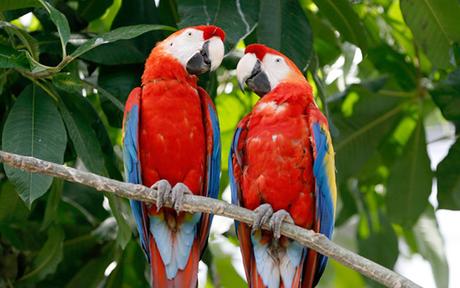 Diálogos en la Estación Intermodal Atemporal. Diálogo Nº 4