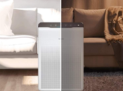 purificador Winix Protect Soiart Distribución