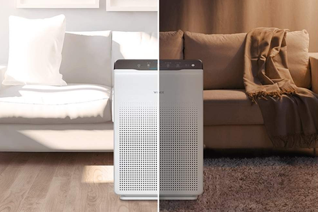 El purificador Winix de Protect Soiart Distribución El purificador Winix de Protect Soiart Distribución