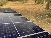 Agrupaciones Soluciones Solares: energía solar para autoconsumo empresas