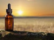 propiedades Elixir Yatamansi tanto éxito tiene redes