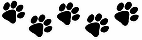 [Cine - Reseña] Moxie