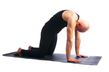 movilidad articular movilidad articular