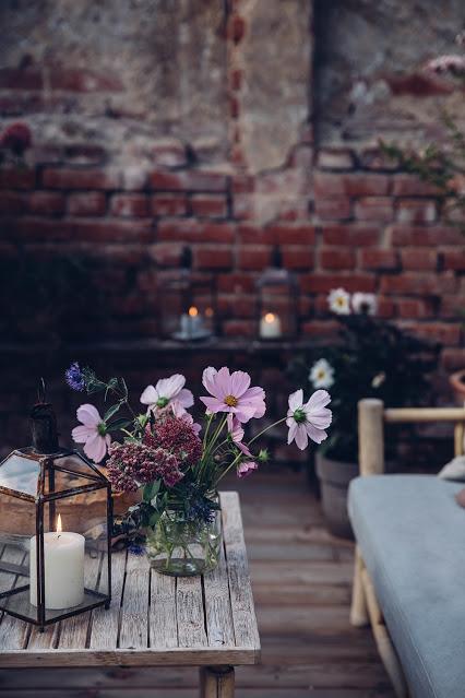 Cejas Espectaculares y Naturales/DIY Principiantes