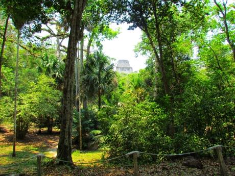 Ruinas mayas de Tikal, Guatemala