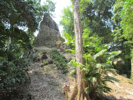 Ruinas mayas de Tikal, Guatemala