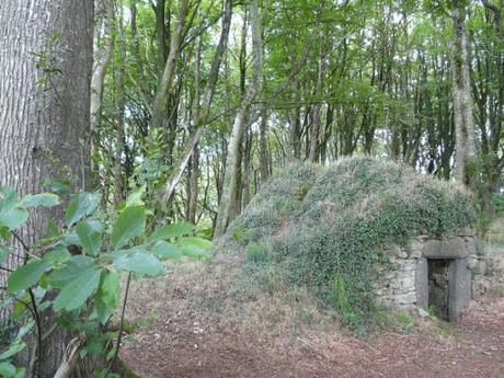 Ciego por la oración de su madre.