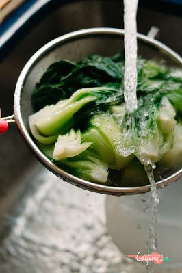 Bok choy con salsa de miso  / 청경채 된장무침