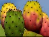 Resumen "duelo gran tunal"