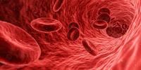 Vínculan los glóbulos rojos con el deterioro cognitivo causado por la Edad