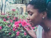 Marketing Sensorial turismo