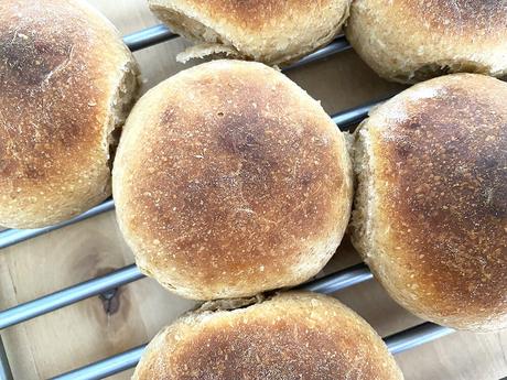 delikatissen the best sourdough dinner rolls surdej sourdough starter sourdough dinner rolls sourdough bread Soft Dinner Rolls pan de masa madre pan casero masa madre hecha en casa masa madre de centeno integral how to make sourgough home made bread easy dinner rolls como hacer masa madre baking bread delikatissen the best sourdough dinner rolls surdej sourdough starter sourdough dinner rolls sourdough bread Soft Dinner Rolls pan de masa madre pan casero masa madre hecha en casa masa madre de centeno integral how to make sourgough home made bread easy dinner rolls como hacer masa madre baking bread