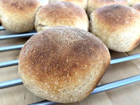 delikatissen the best sourdough dinner rolls surdej sourdough starter sourdough dinner rolls sourdough bread Soft Dinner Rolls pan de masa madre pan casero masa madre hecha en casa masa madre de centeno integral how to make sourgough home made bread easy dinner rolls como hacer masa madre baking bread delikatissen the best sourdough dinner rolls surdej sourdough starter sourdough dinner rolls sourdough bread Soft Dinner Rolls pan de masa madre pan casero masa madre hecha en casa masa madre de centeno integral how to make sourgough home made bread easy dinner rolls como hacer masa madre baking bread