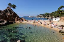 Platja de Cap Roig Playas de ensueño en la Costa Brava