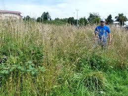 (Relatos) #YoEscriboJunioBFD - Mancha / Auto / Oscuridad / Pantano by Eelynn Cuellar