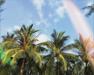 ALBA: 'I NEED A HOLIDAY'