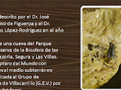 Biología Subterránea Jaén