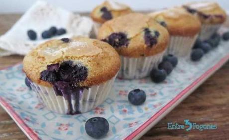 MAGDALENAS DE YOGUR GRIEGO A LA VAINILLA CON AZÚCAR Y CANELA magdalenas de yogur