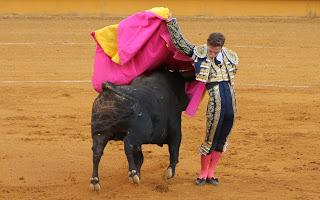 TRIPLE SALIDA A HOMBROS EN LA PRIMERA SEMIFINAL DEL CIRCUITO DE NOVILLADAS DE LA JUNTA