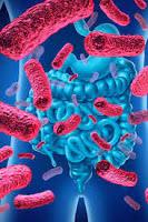 Investigan nueva forma de tratar la infección por Clostridium difficile Investigan nueva forma de tratar la infección por Clostridium difficile