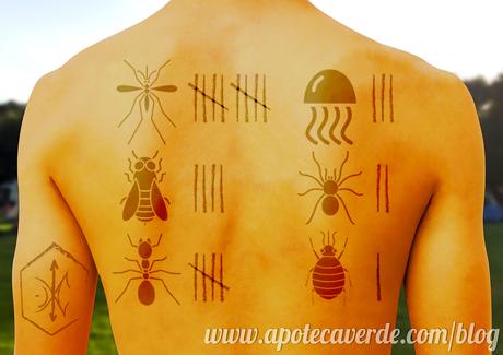 Picaduras? 7 plantas para tratarlas!