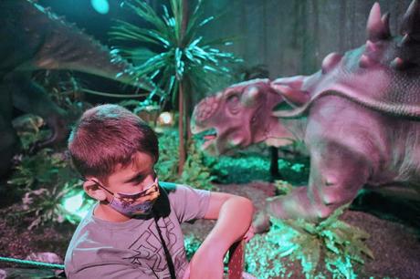 Dino World Expo , los dinosaurios invaden España Dino World Expo , los dinosaurios invaden España