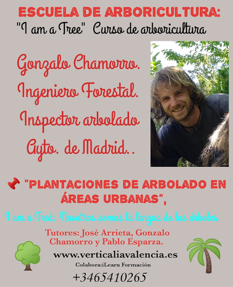 MÁS SOBRE LA ESCUELA DE ARBORICULTURA sobre escuela arboricultura tree