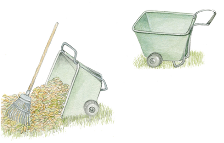 HERRAMIENTAS DE JARDINERÍA: CUÁLES USAR PARA LIMPIAR EL JARDÍN