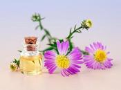 Como evitar picaduras insectos