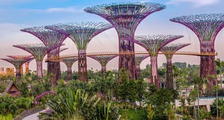 singapur jardin del futuro 3